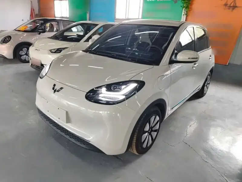 Wuling Bingo, 2025