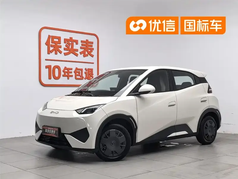 BYD Seagull, 2025