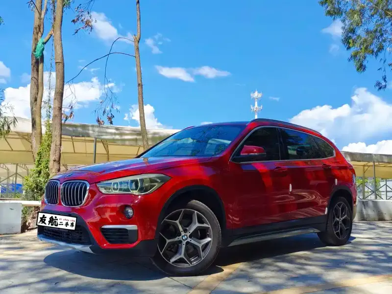 BMW X1, 2018 — фото 1