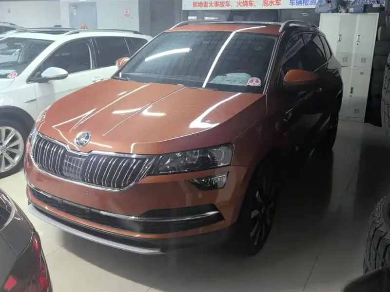 Skoda Karoq, 2019