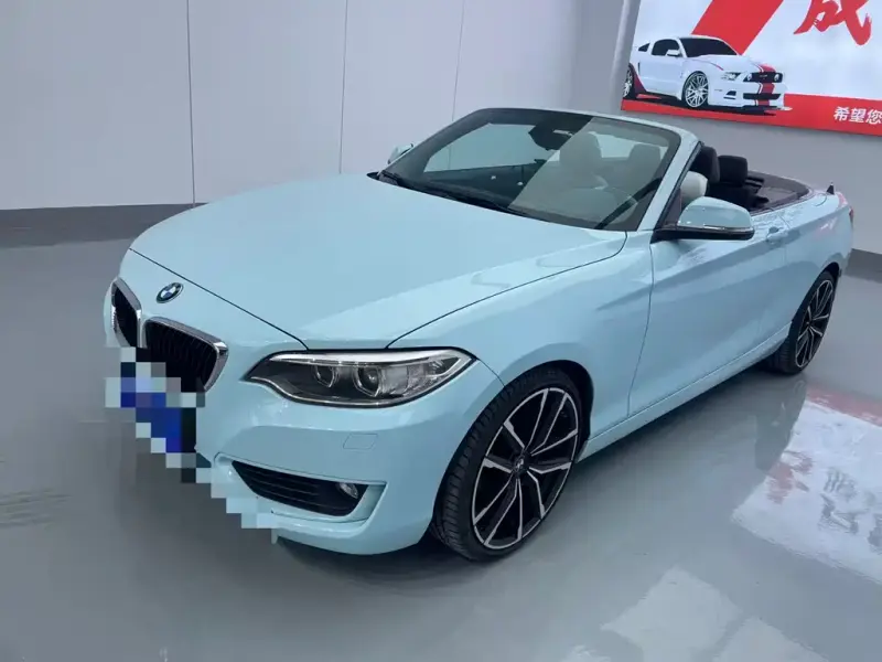 BMW 2 Series (Import), 2016