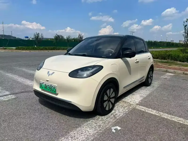 Wuling Bingo, 2025