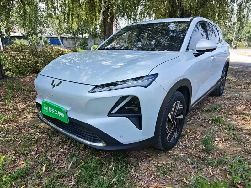 Wuling Xingguang S, 2024