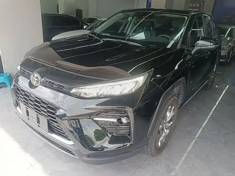 Toyota Wildlander, 2020