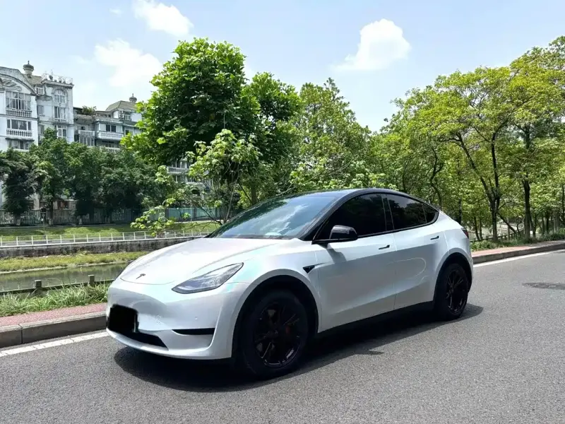 Tesla Model Y, 2021