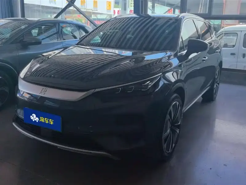 BYD Tang New Energy, 2023