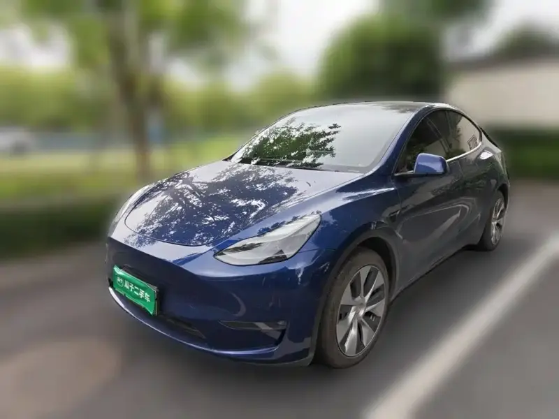 Tesla Model Y, 2021
