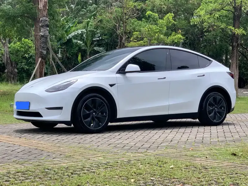 Tesla Model Y, 2022