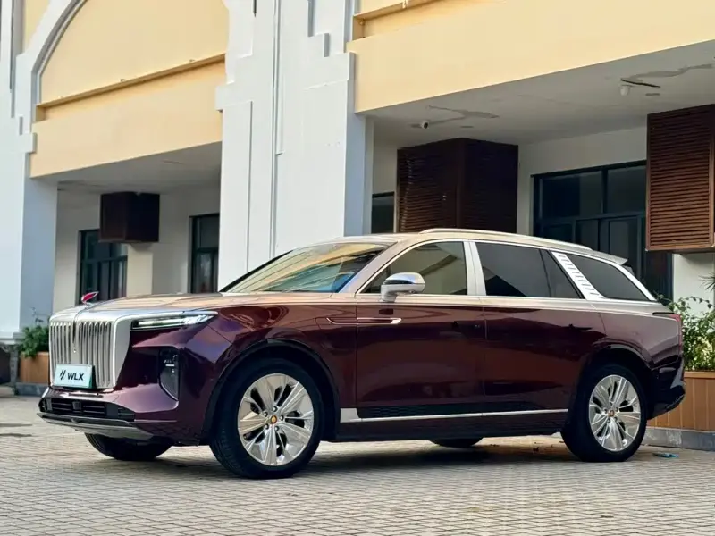 Hongqi E-HS9, 2021