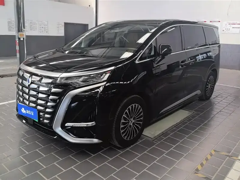 Denza D9, 2024