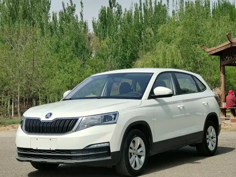 Skoda Kamiq, 2020 — фото 1