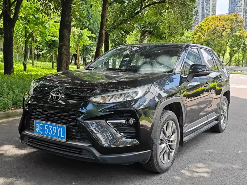 Toyota Wildlander, 2020