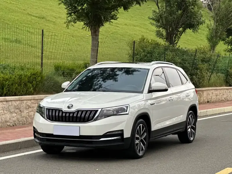 Skoda Kamiq, 2022 — фото 1