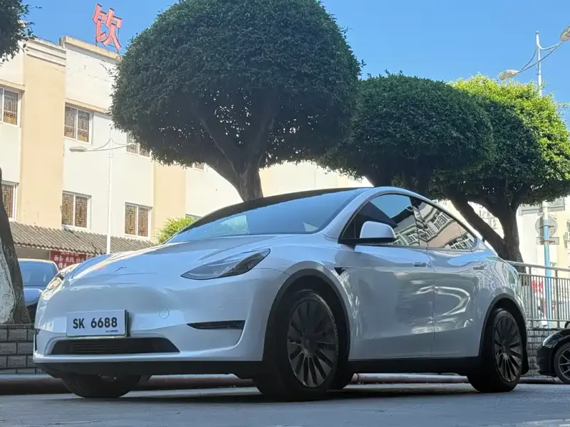 Tesla Model Y, 2021