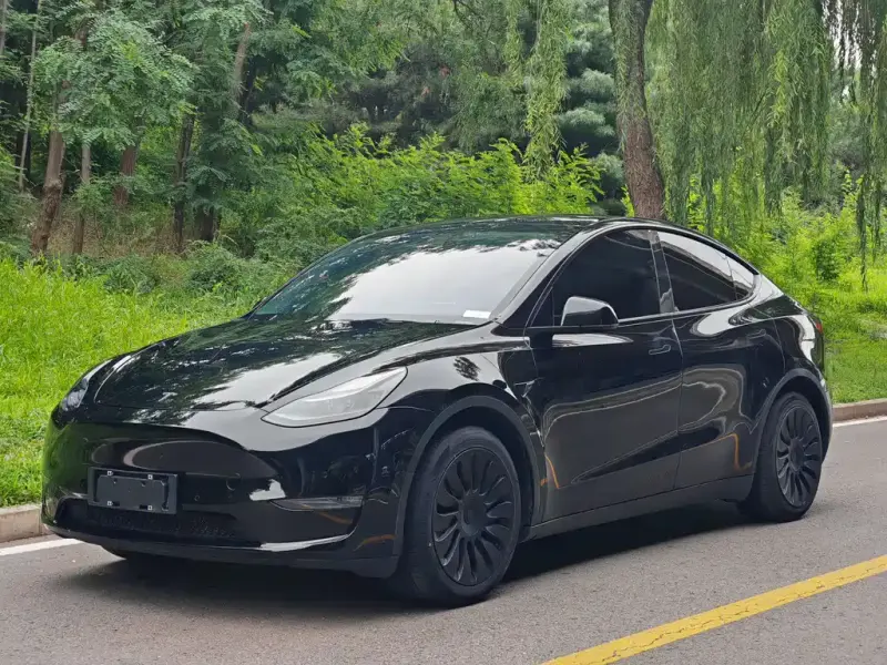 Tesla Model Y, 2021