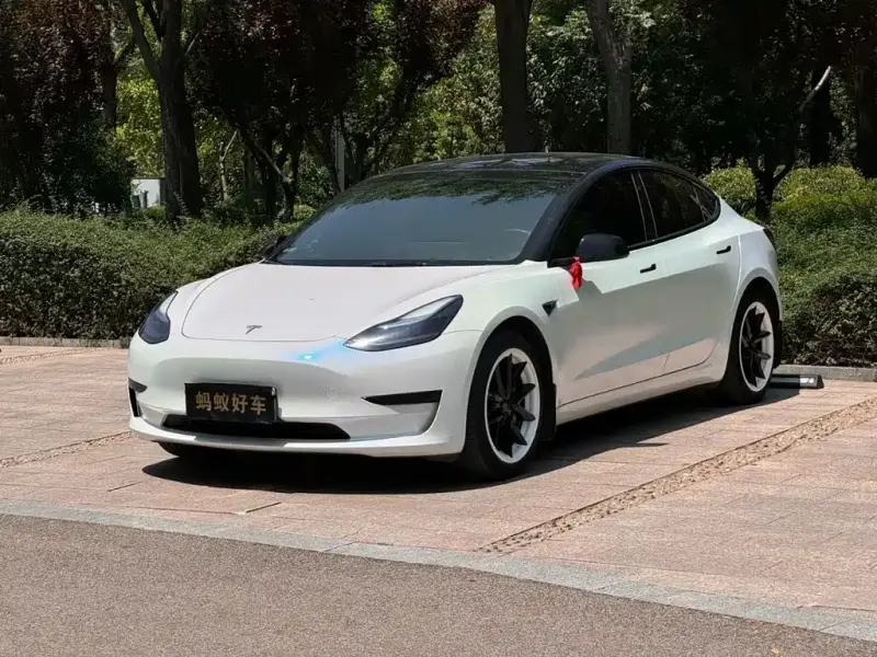 Tesla Model 3, 2022