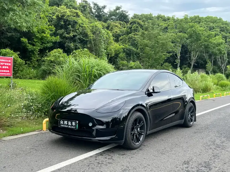 Tesla Model Y, 2022