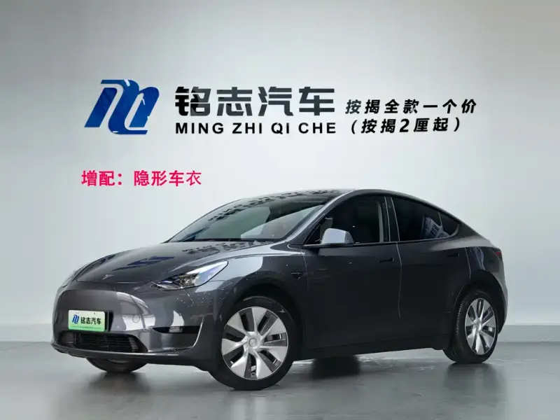 Tesla Model Y, 2022