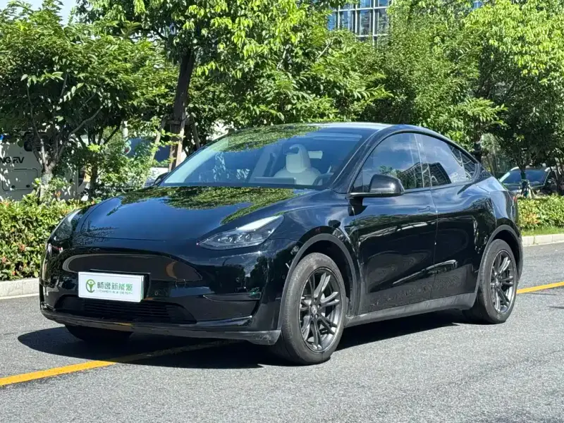 Tesla Model Y, 2024
