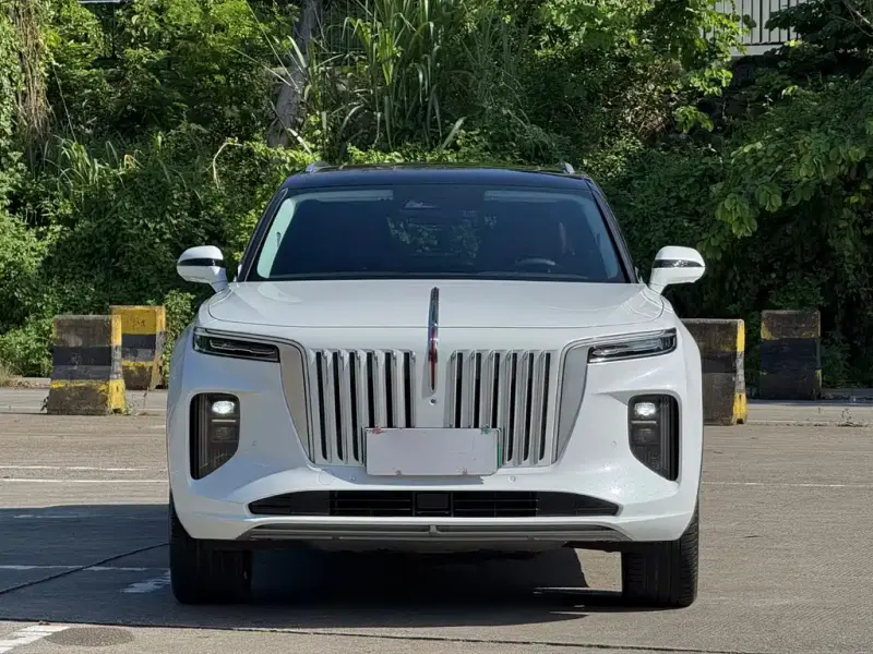 Hongqi E-HS9, 2023