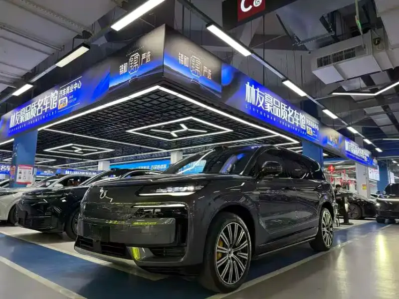 Denza N9, 2025