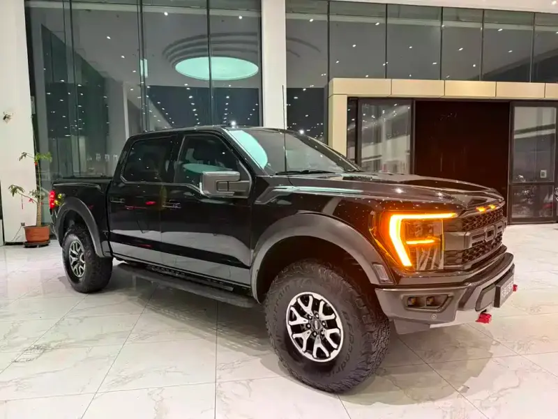 Ford F-150 Raptor, 2024 — фото 1