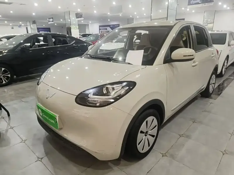Wuling Bingo, 2023