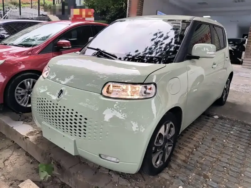 Ora White Cat, 2021