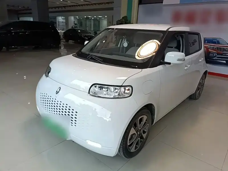 Ora White Cat, 2022