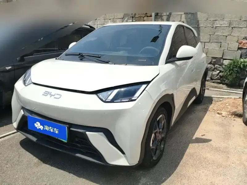 BYD Seagull, 2024