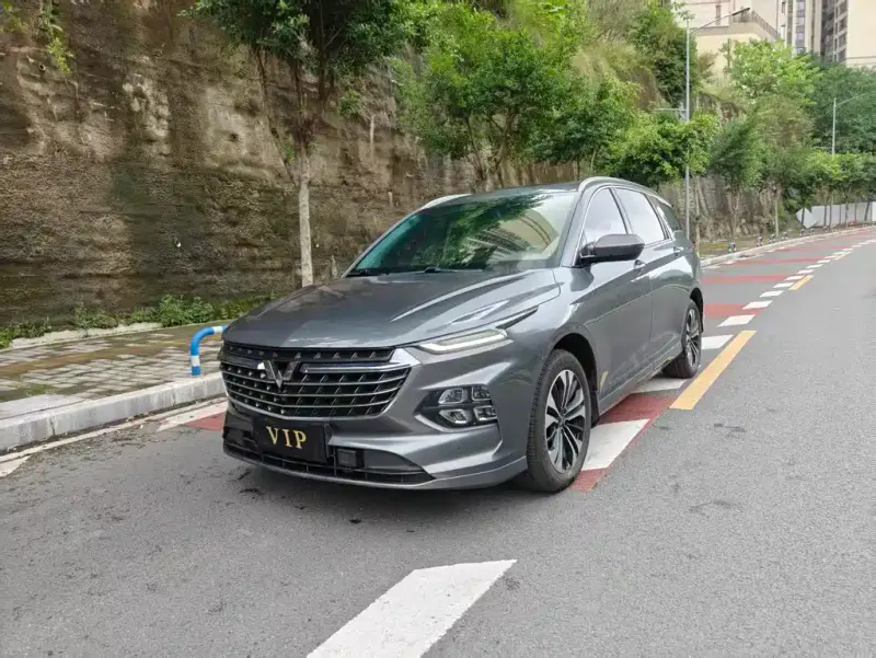 Wuling Victory, 2022
