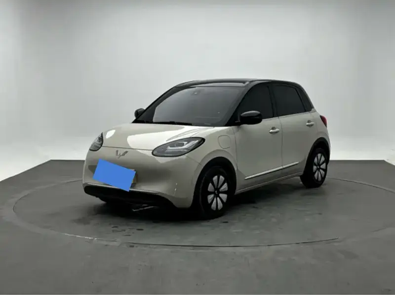 Wuling Bingo, 2024