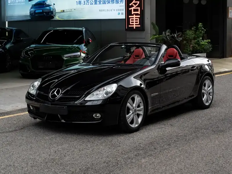 Mercedes-Benz SLK-Class, 2010 — фото 1