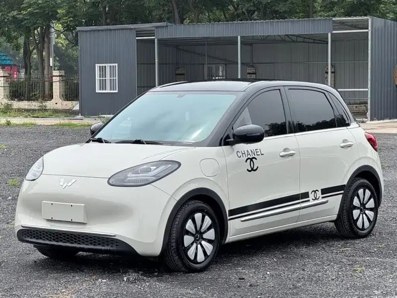 Wuling Bingo, 2025