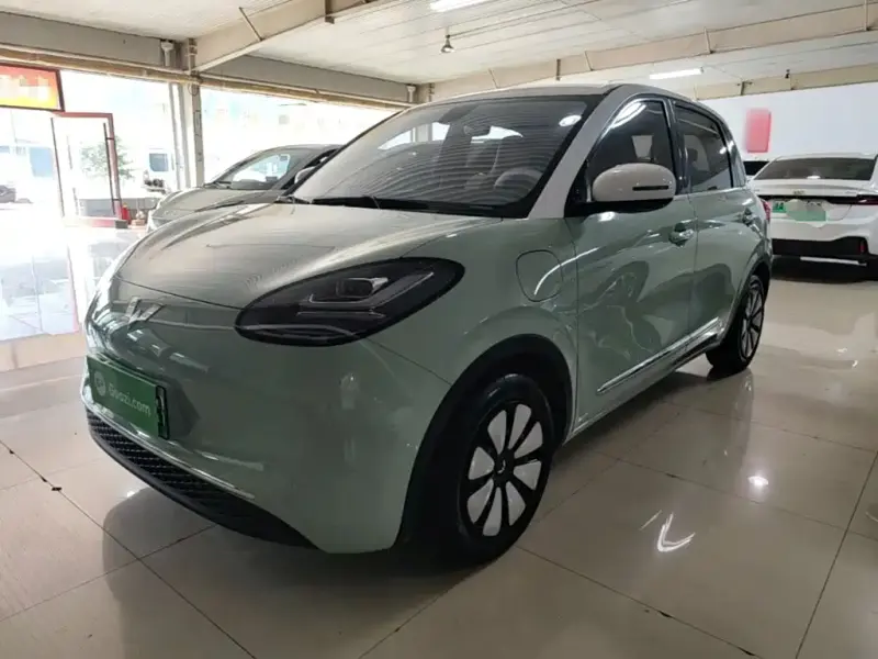 Wuling Bingo, 2024