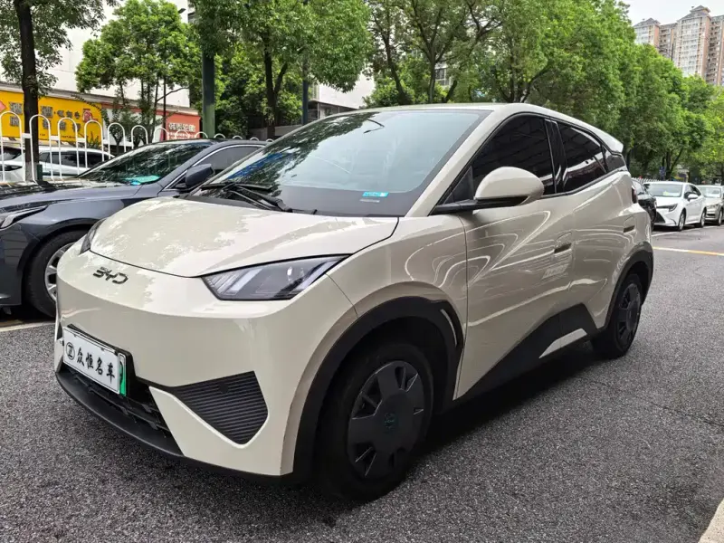BYD Seagull, 2025