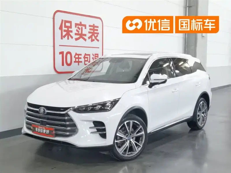 BYD Tang New Energy, 2020