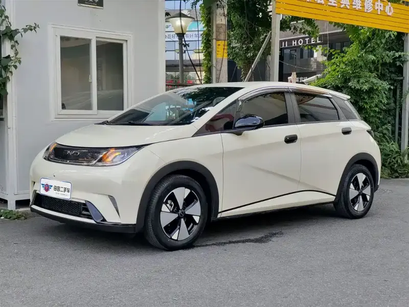 BYD Dolphin, 2024