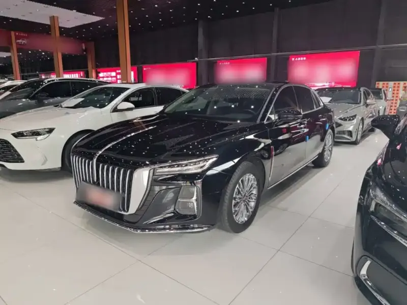Hongqi H5, 2024