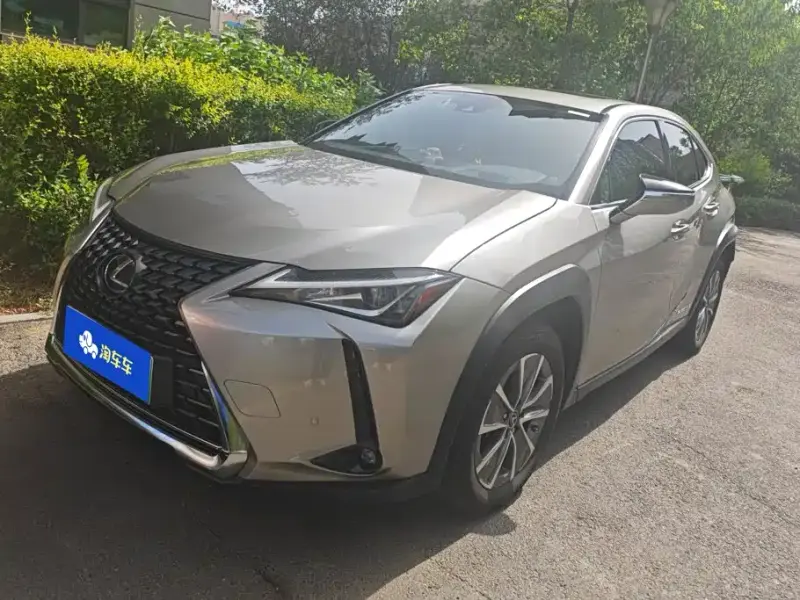 Lexus UX New Energy, 2021