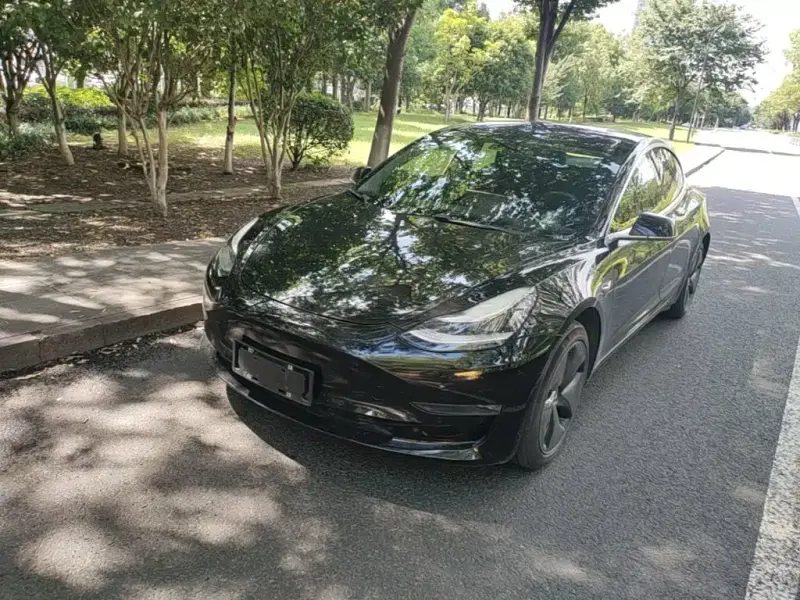 Tesla Model 3, 2019