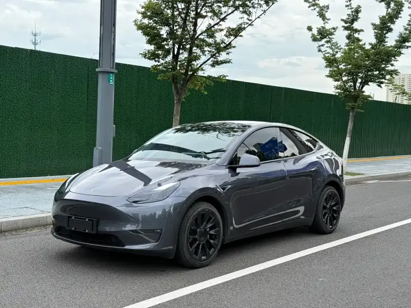 Tesla Model Y, 2021