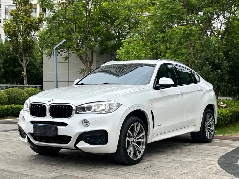 BMW X6, 2018