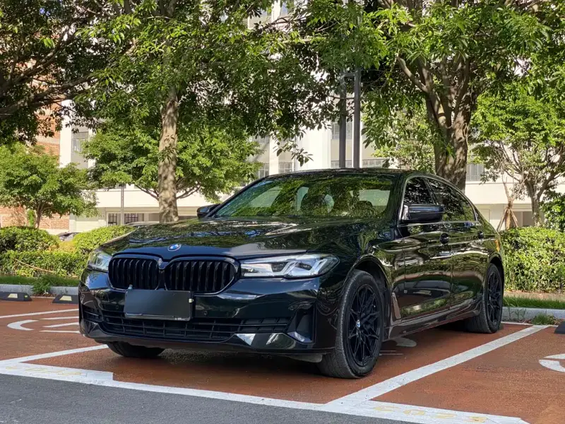 BMW 5 Series, 2021