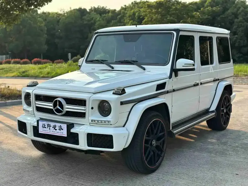 Mercedes-Benz G-Class, 2018 — фото 1