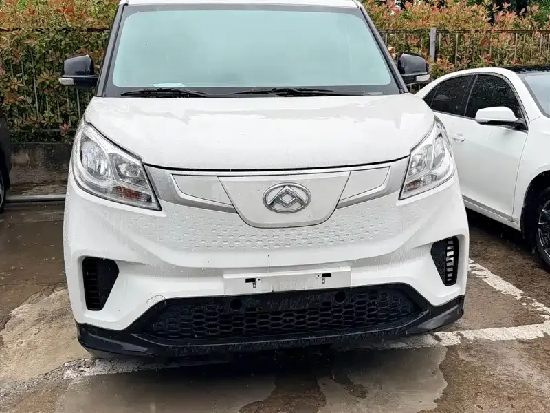 Maxus EV30, 2023
