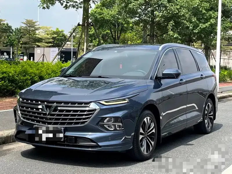 Wuling Victory, 2020