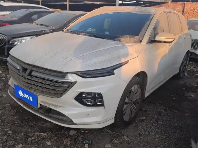 Wuling Victory, 2021