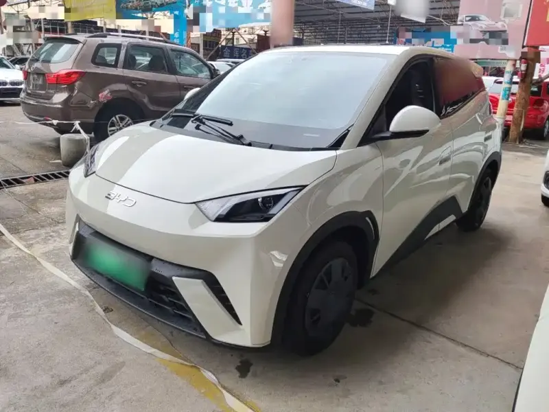 BYD Seagull, 2024
