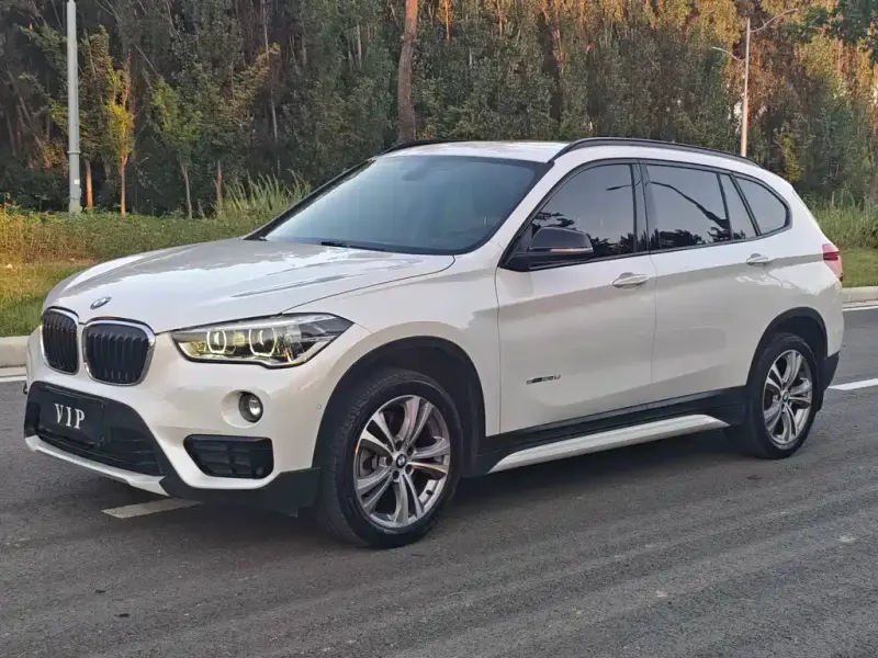 BMW X1, 2017 — фото 1